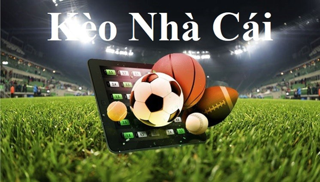 PUNT Sân chơi đổi thưởng cực chất không thể bỏ lỡ